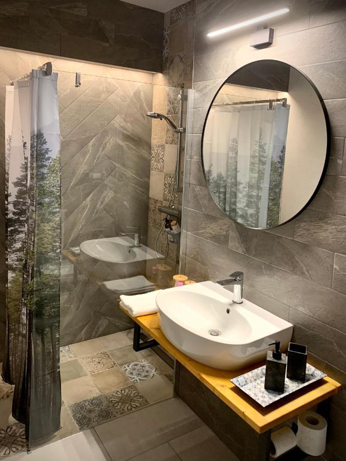 Blue Mountain Residence Брашов Экстерьер фото